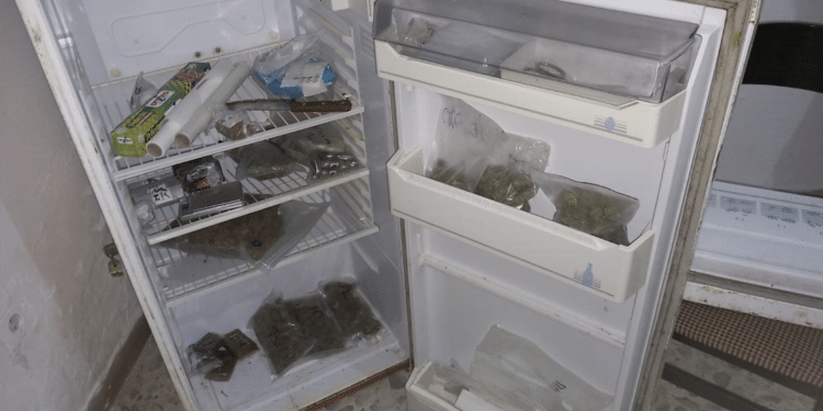 La droga nel frigo