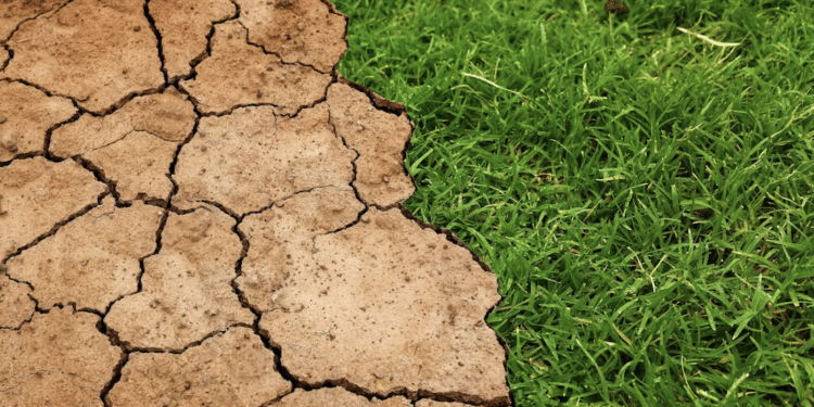 Il consumo di suolo in Puglia accelera alla velocità di 7,18 chilometri quadrati, maglia nera alla provincia di Foggia