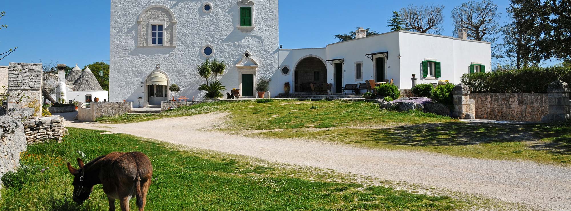 Cambia il turismo in Puglia, sempre più turisti stranieri scelgono gli  agriturismi - l'Immediato
