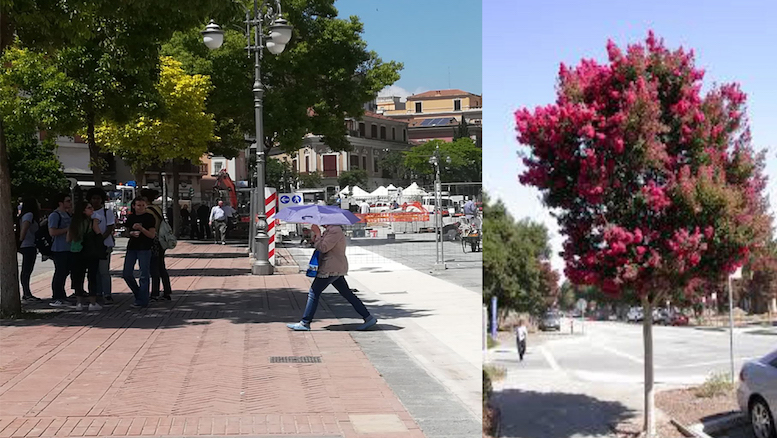 Una donna col parasole; a destra, come saranno gli alberi tra qualche anno