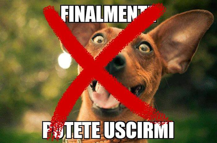 Accademia crusca
dal sito twitter Accademia della Crusca