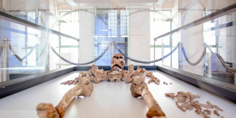 musei Puglia