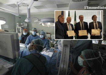 Nel riquadro, Bettocchi con i referenti dell'ospedale Molinette