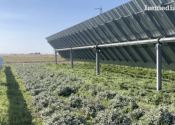 Un parco fotovoltaico