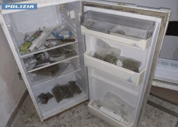La droga nel frigo