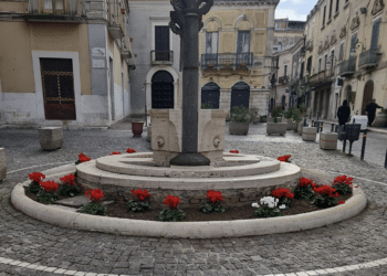 piazza Federico II