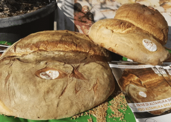 Il pane di Altamura