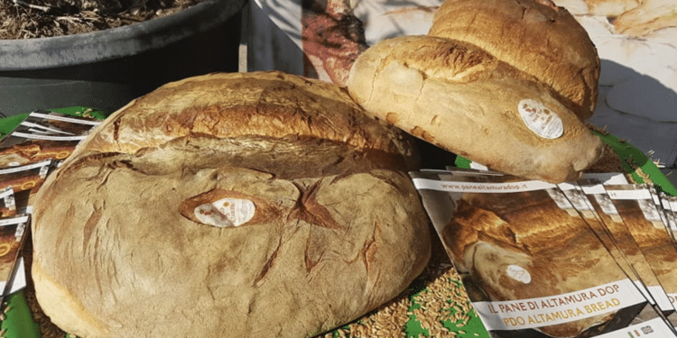 Il pane di Altamura