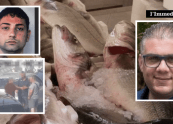 Michele Lombardi; sotto, un'immagine tratta dal video del blitz Omnia Nostra; a destra, La Selva
