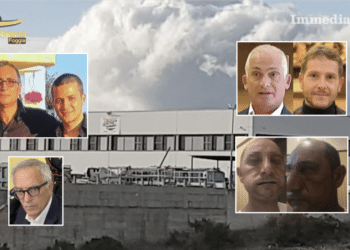 A sinistra, i Fatone; sotto, Vaccaro; a destra, Rotice e Salvemini; sotto, Manzella