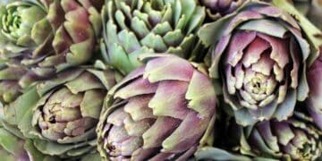 Carciofi
