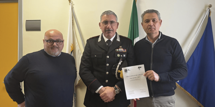 Totaro, Palomba e Pazienza