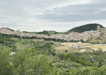 Deliceto