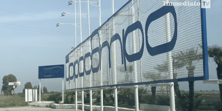 Ippocampo