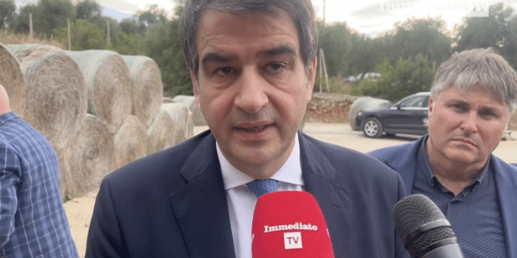 Raffaele Fitto
