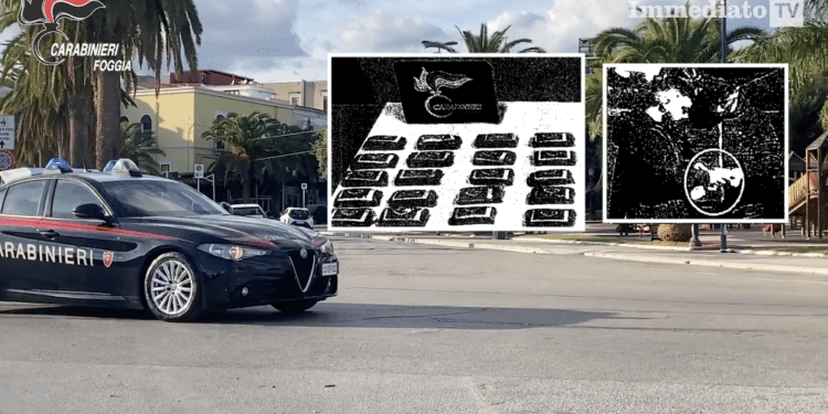 Un'immagine tratta dal video dei cc; nei riquadri, i panetti di droga e una fase dello spaccio