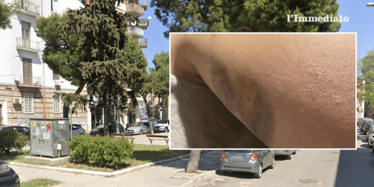 piazza medaglie d’oro; nel riquadro, la ferita