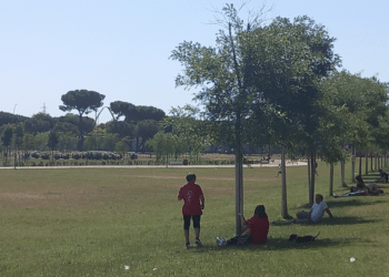 campi diomedei