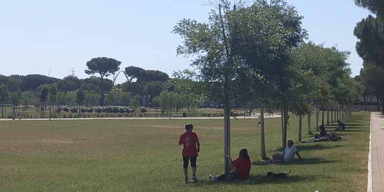 campi diomedei