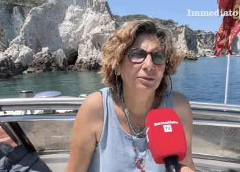Annalisa Lisci