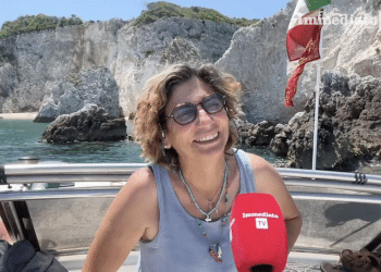 Annalisa Lisci
