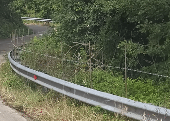 S.P. 144 nel tratto che collega Monte Sant'Angelo alla Foresta Umbra