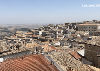 Bovino