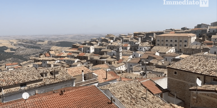 Bovino