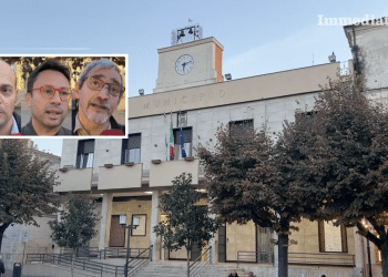 Ziccardi, Ardito e Zilli