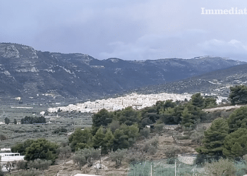 Mattinata