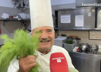Peppe Zullo