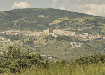 Deliceto