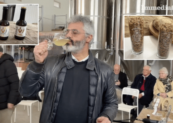 Michele Solimando