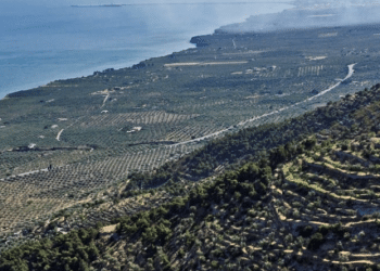 Piana di Macchia
