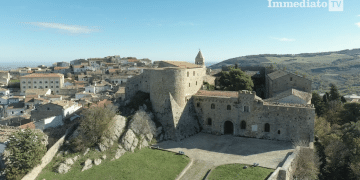 Bovino