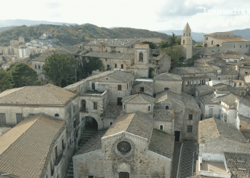Bovino