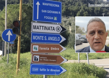 Nicola Gatta