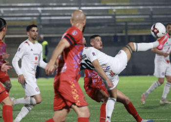 Foto Calcio Foggia Antonellis