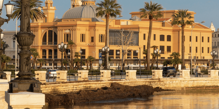 Bari