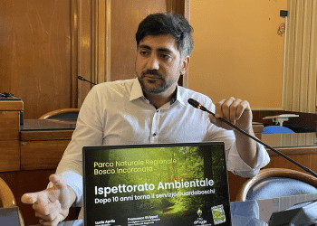 Francesco Strippoli