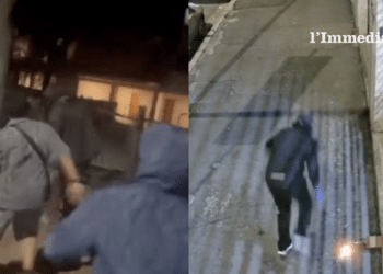 L'aggressione al migrante e la bomba a "Paradiso Selvaggio"