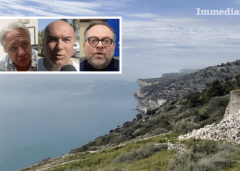 D'Anelli, D'Arenzo e Sciscio