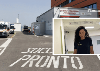 Lucia Fiorile