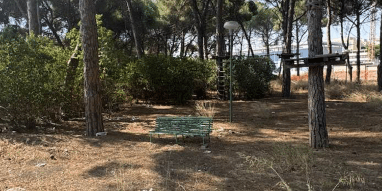 Fiera di Foggia