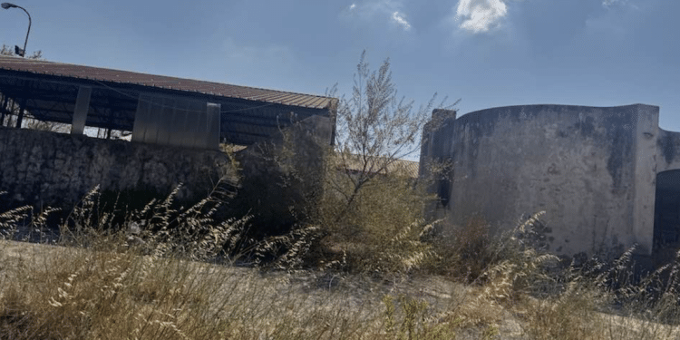 Fiera di Foggia