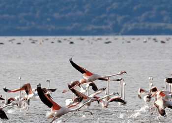 Lago di Varano