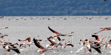 Lago di Varano