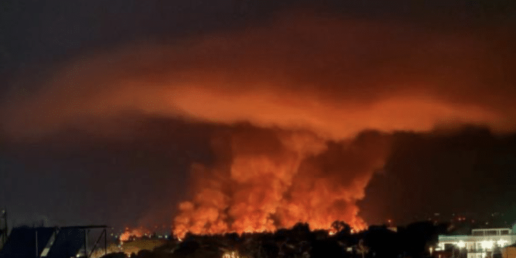 Contatti martedì 9 Giugno 2026 Cerca… l’Immediato Cronaca Inchieste Politica Sanità & Salute Turismo Cultura Sport Puglia Cronaca Inchieste Politica Sanità & Salute Turismo Cultura Sport Puglia Home – Incendi boschivi, dal 15 giugno scatta in Puglia lo stato di grave pericolosità: nel 2025 quasi 500 interventi in provincia di Foggia Incendi boschivi, dal 15 giugno scatta in Puglia lo stato di grave pericolosità: nel 2025 quasi 500 interventi in provincia di Foggia Contatti martedì 9 Giugno 2026 Cerca… l’Immediato Cronaca Inchieste Politica Sanità & Salute Turismo Cultura Sport Puglia Cronaca Inchieste Politica Sanità & Salute Turismo Cultura Sport Puglia Home – Incendi boschivi, dal 15 giugno scatta in Puglia lo stato di grave pericolosità: nel 2025 quasi 500 interventi in provincia di Foggia Incendi boschivi, dal 15 giugno scatta in Puglia lo stato di grave pericolosità: nel 2025 quasi 500 interventi in provincia di Foggia
