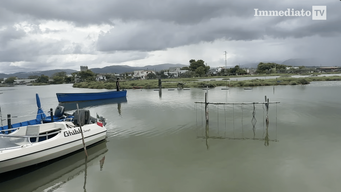 Torna il Clean Up del lago di Varano: volontari in campo per ripulire ...