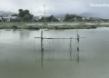 Lago di Varano